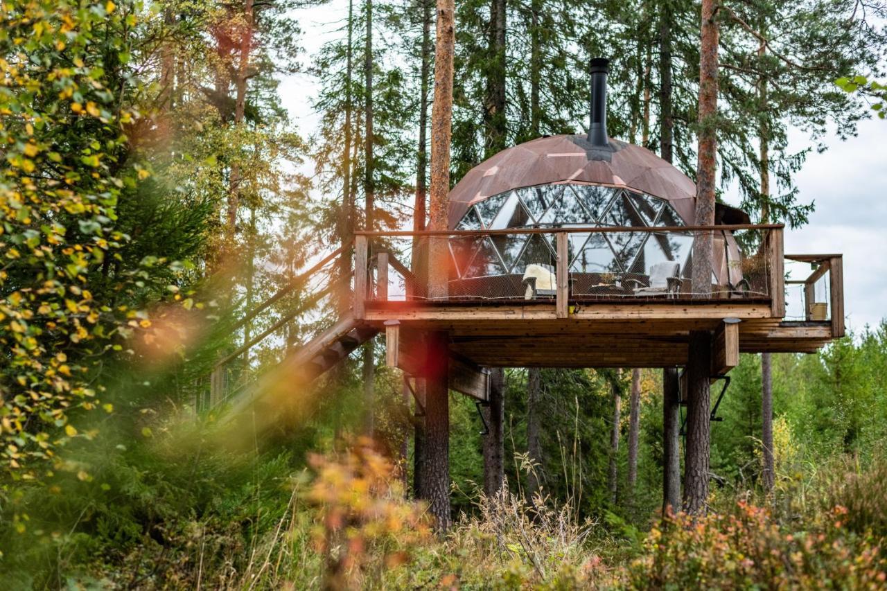 Treehouse Dome Hotell Vidnes Eksteriør bilde